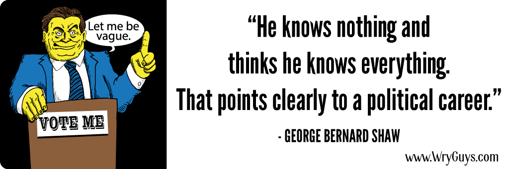 George bernard shaw politicians bumper sticker