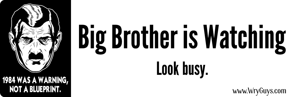 Big brother bumper sticker