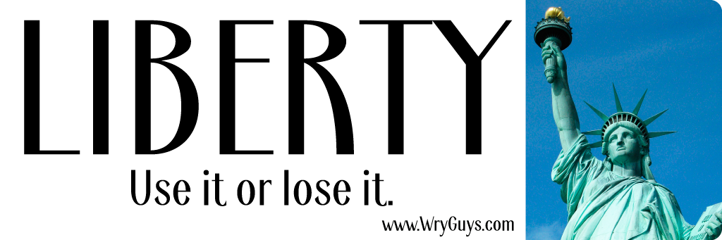 Liberty use it or lose it bumper sticker