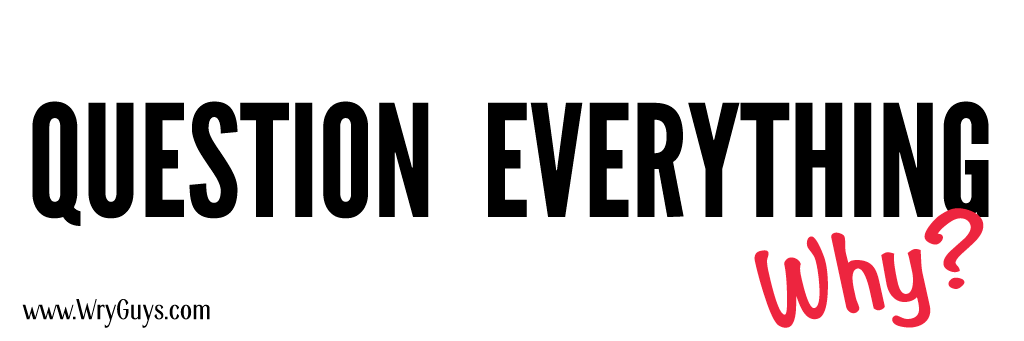 Question everything bumper sticker